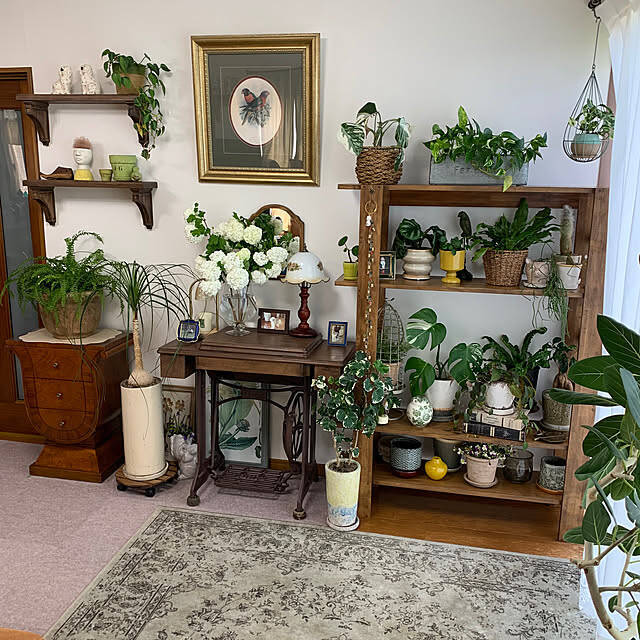 【今週の〇〇】テーマは「植物のある暮らし」！最新の投稿写真をピックアップ