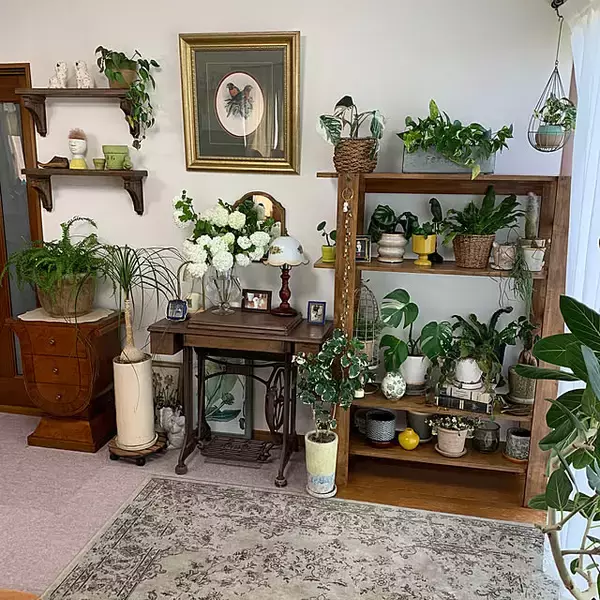 「【今週の〇〇】テーマは「植物のある暮らし」！最新の投稿写真をピックアップ」の画像