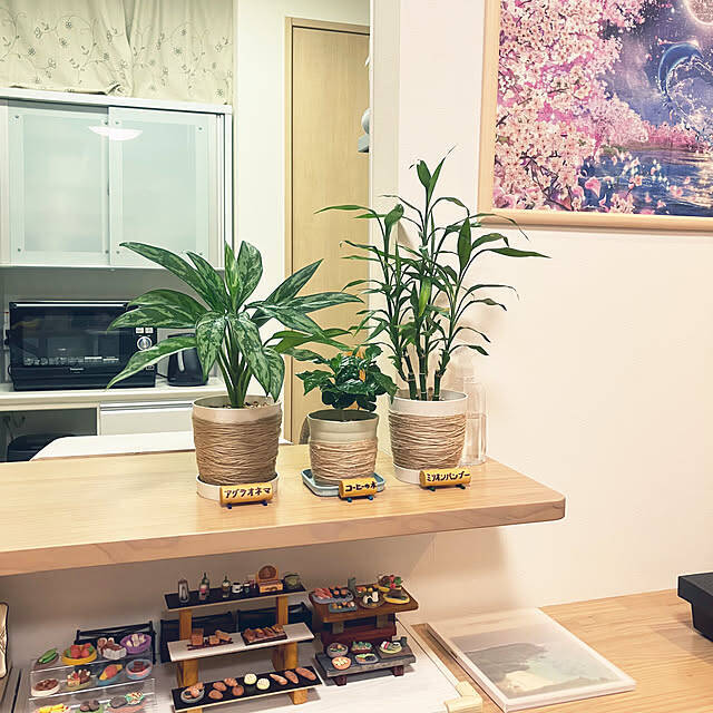 【今週の〇〇】テーマは「植物のある暮らし」！最新の投稿写真をピックアップ