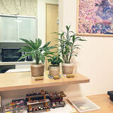 「【今週の〇〇】テーマは「植物のある暮らし」！最新の投稿写真をピックアップ」の画像6