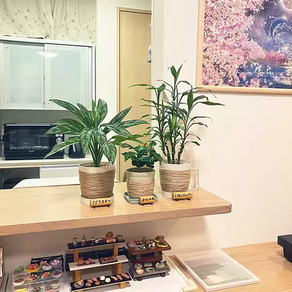 「【今週の〇〇】テーマは「植物のある暮らし」！最新の投稿写真をピックアップ」の画像