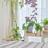 「清潔に保って心地よく眠れる環境に♪寝室の掃除と寝具のお手入れ方法7選」の画像3