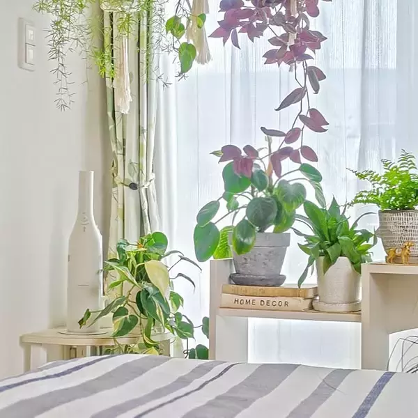 「清潔に保って心地よく眠れる環境に♪寝室の掃除と寝具のお手入れ方法7選」の画像