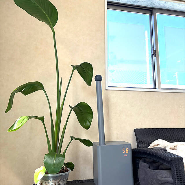 【今週の〇〇】テーマは「植物のある暮らし」！最新の投稿写真をピックアップ