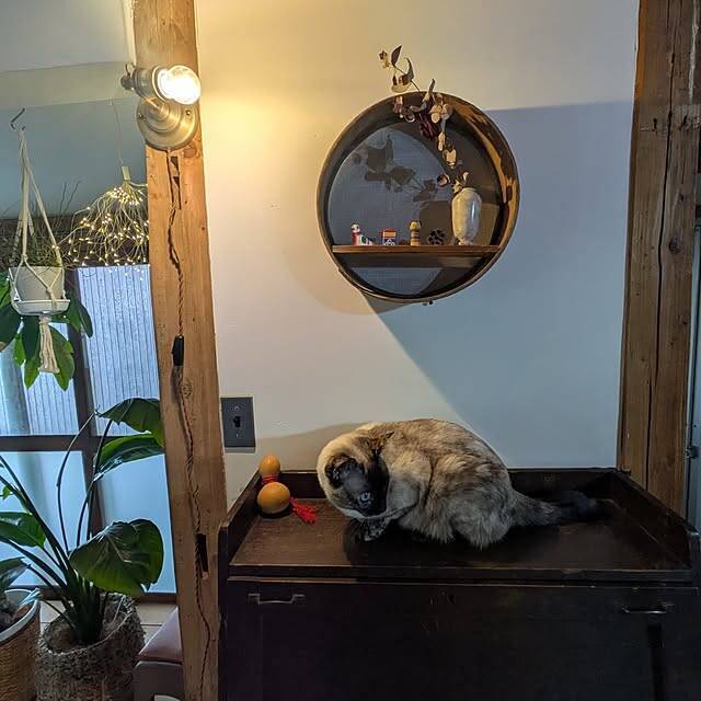 レトロな空間を現代で楽しむ。温かみと懐かしさを感じる、古民家風インテリアの実例6選