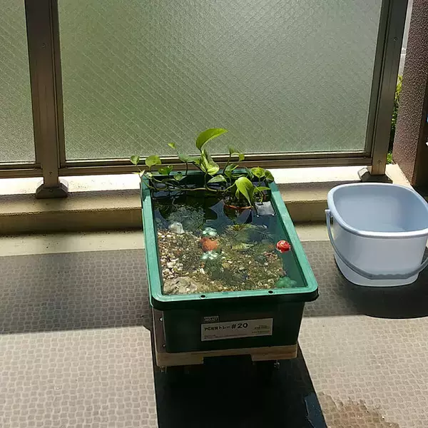 「ラクラク動かせてとっても便利！メリットいっぱいの「平台車」活用アイデア」の画像