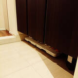 「ラクラク動かせてとっても便利！メリットいっぱいの「平台車」活用アイデア」の画像8