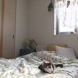 「季節ごとの交換も簡単に♪年中使えて便利なニトリのおすすめ寝具」の画像3