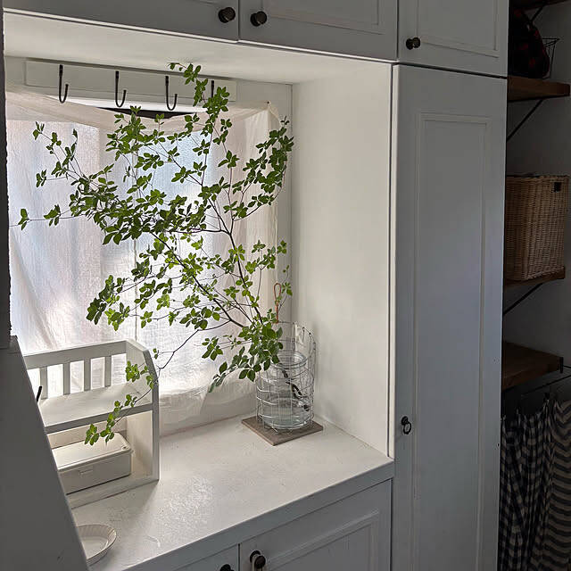 【今週の〇〇】テーマは「植物」！最新の投稿写真をピックアップ
