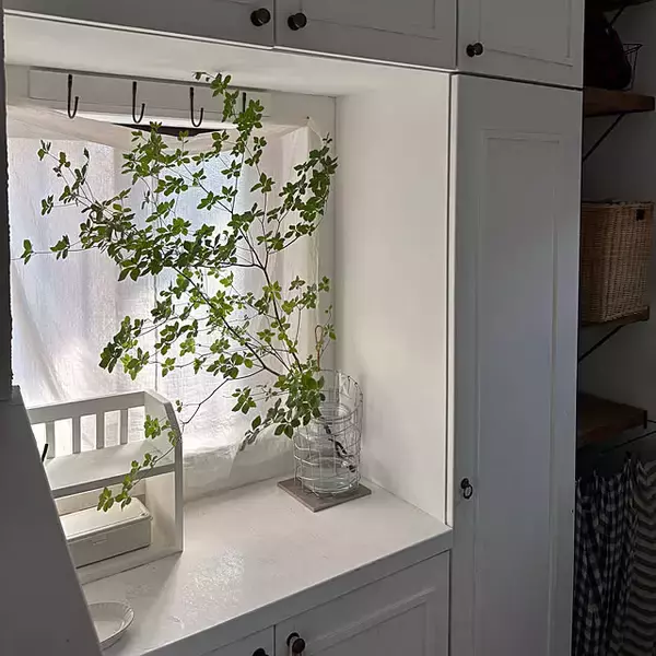 「【今週の〇〇】テーマは「植物」！最新の投稿写真をピックアップ」の画像