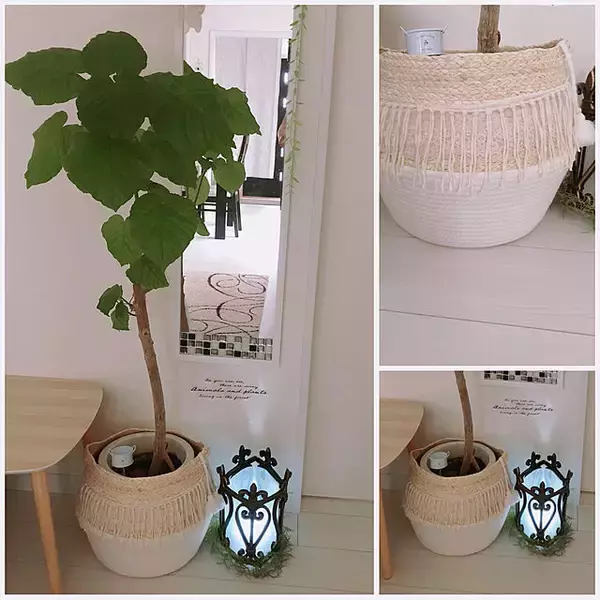 「種類豊富だから家じゅうで使える！ニトリのバスケット使いこなし術」の画像