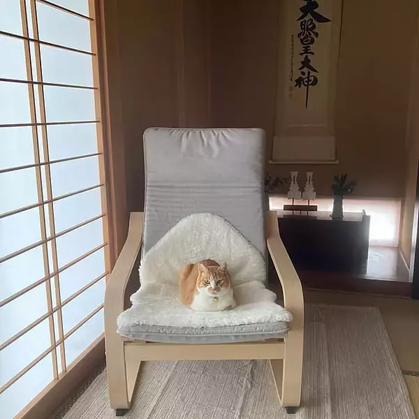 「リラックスできる空間づくりに♪毎日がもっと心地よくなるIKEAのアームチェアがある暮らし」の画像