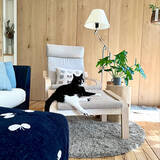 「リラックスできる空間づくりに♪毎日がもっと心地よくなるIKEAのアームチェアがある暮らし」の画像3