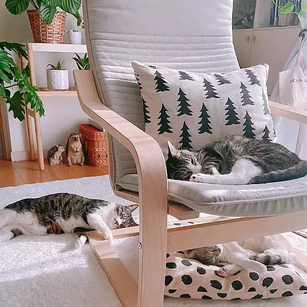 「リラックスできる空間づくりに♪毎日がもっと心地よくなるIKEAのアームチェアがある暮らし」の画像