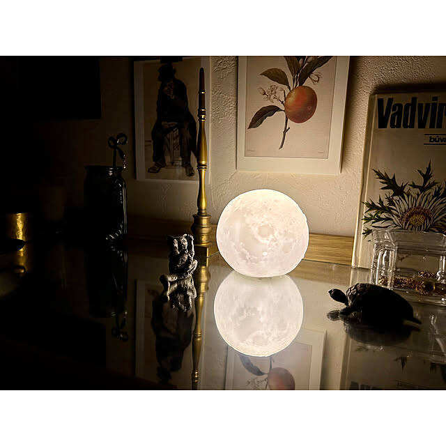 お部屋の雰囲気をワンランクUP♪インテリアにプラスしたい100均のライト6選