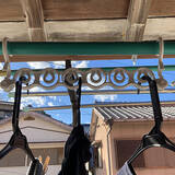 「家事がぐっとラクになる！毎日使いたいダイソーの洗濯グッズ6選」の画像1