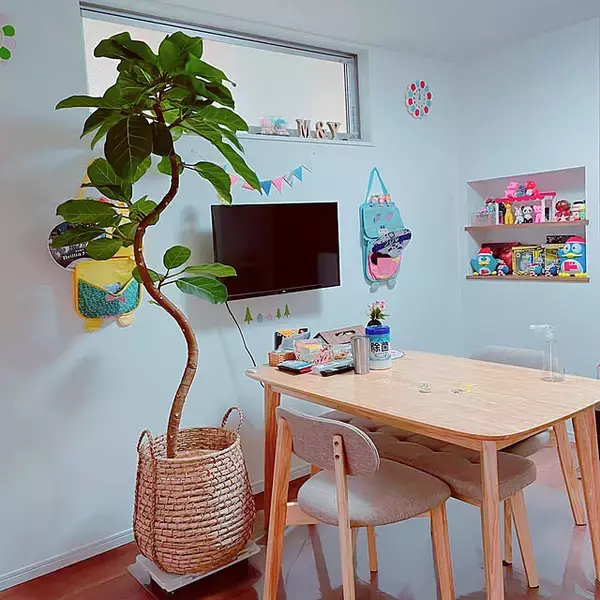 「まるで本物！お部屋を瑞々しく彩る「フェイクグリーン」カタログ」の画像