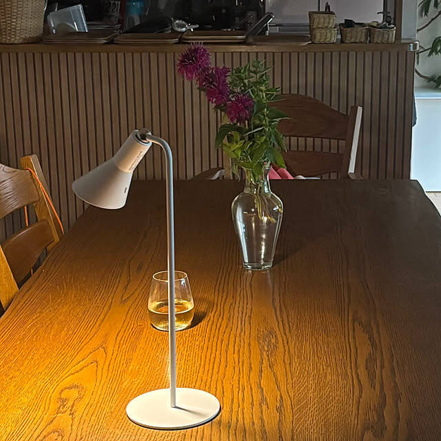 うれしい出会いがまたひとつ♪「買ってよかった」ニトリのアイテム10選