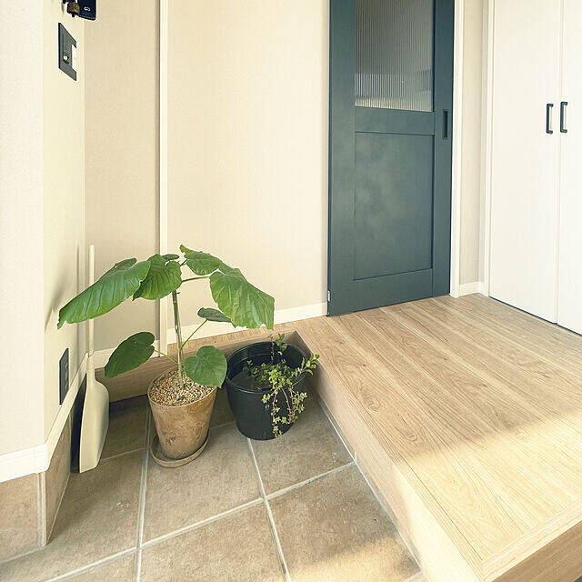 玄関床掃除の決定版！綺麗を保つためのアイデアとおすすめアイテムをご紹介