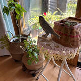 「【みんなが選んだ！】片付けが楽しくなる♪Standard Productsのカゴ・バスケット4選」の画像4