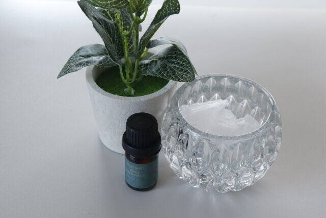 セリアさんクリアもあるなら教えてよ…！中身だけ欲しいって思ってた♡あのインテリアグッズ