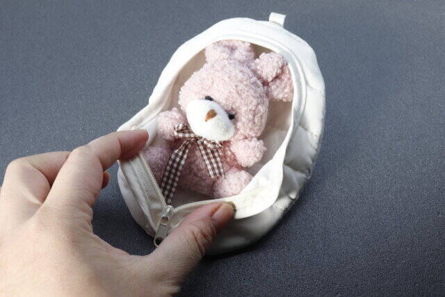 セリアのコレなんだと思う？あるものを入れて使います！ミニミニサイズのシュラフ