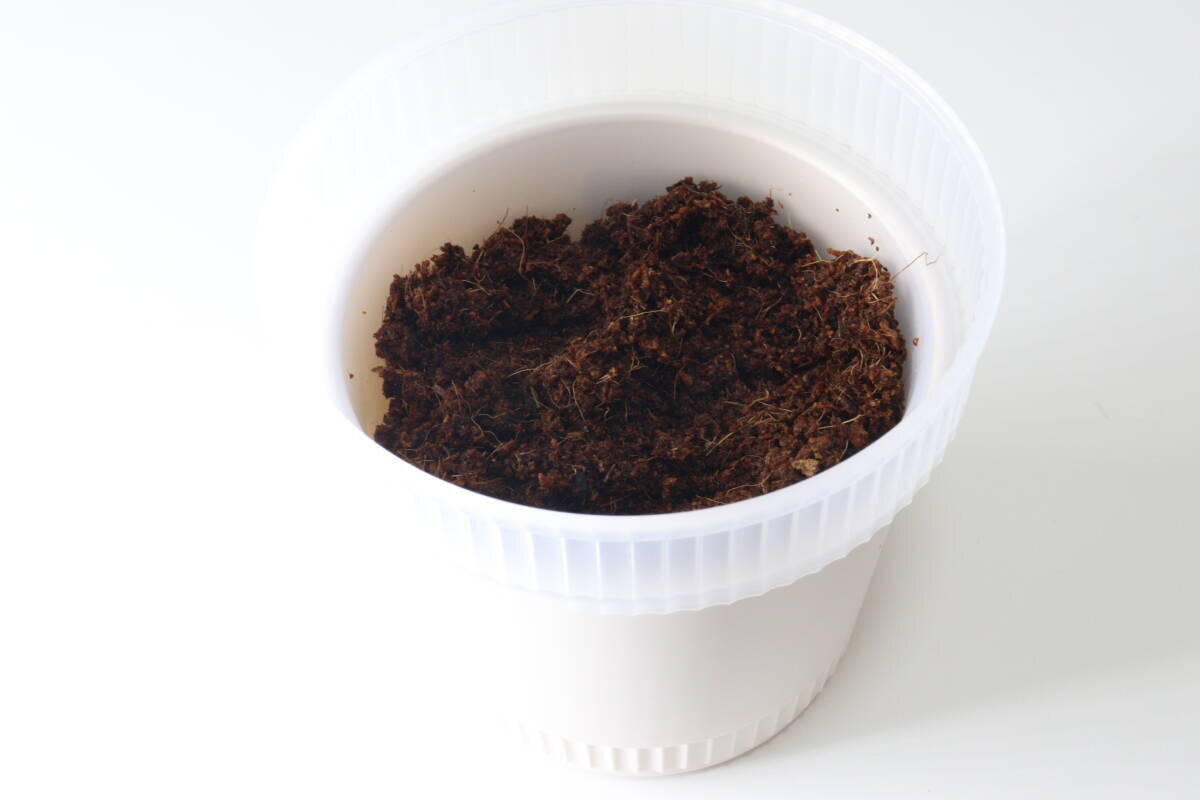 管理しやすさが段違い！タイミングが目で見える100均アイデアグッズ