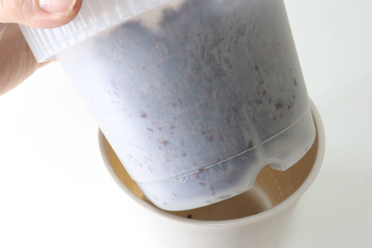 管理しやすさが段違い！タイミングが目で見える100均アイデアグッズ