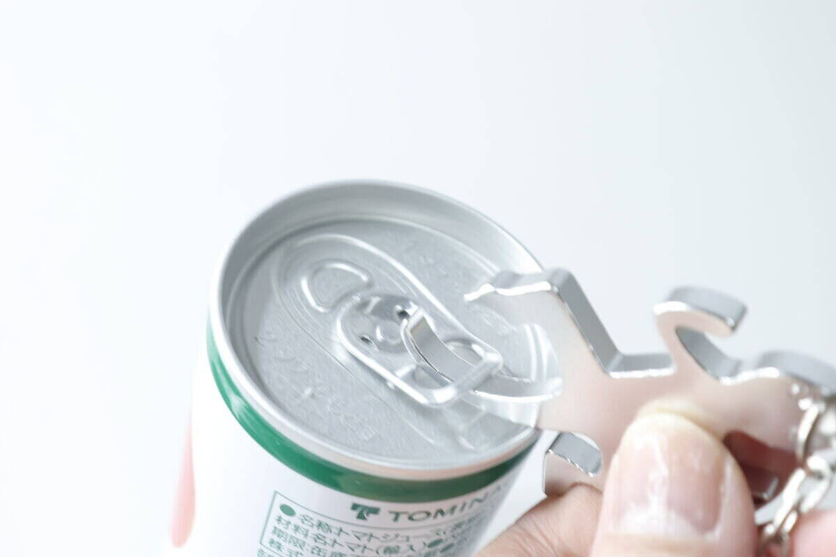 100均で名品見つけちゃった！こんなにおしゃれなの見たことない！実用性も抜群なキーホルダー