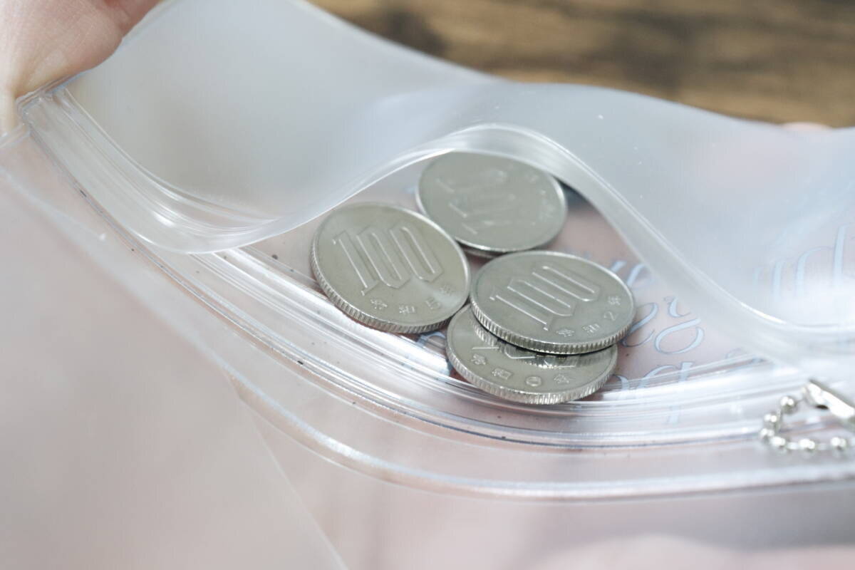 こんなにぺらんぺらんで大丈夫…？と思ったけど凄すぎ！スリムで機能的な100均の優秀財布