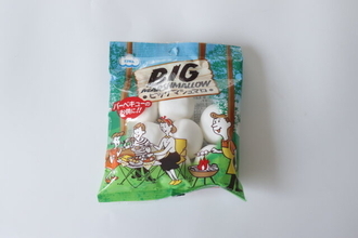 ダイソーで少量サイズ買えるよ～！使い切れず余らせがち…アウトドアの必須アイテム