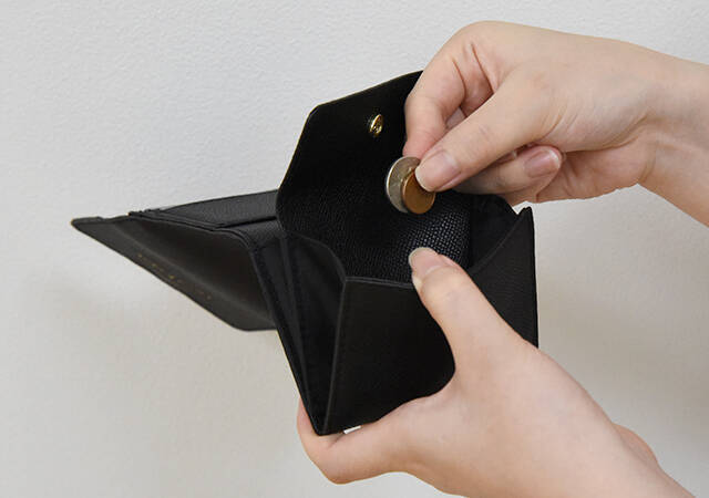 もはや事件レベルの豪華付録！財布の概念ぶっ飛んだ…！大人気ブランドの縦型ミニ財布♡