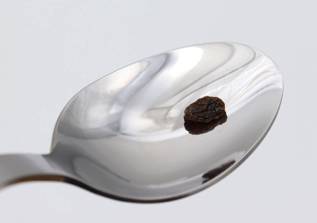大当たり付録出たよ！1人前にぴったりの実用サイズ♡レトロ可愛いボンカレー皿＆スプーンセット