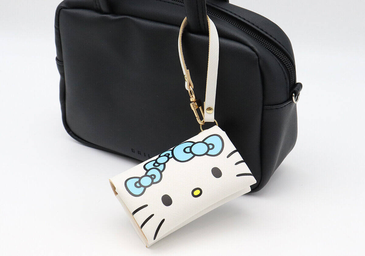 mini5月号付録は争奪戦の予感大！みずいろリボンが可愛い♡ハローキティ高見えマルチケース