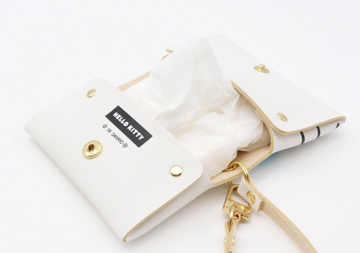 mini5月号付録は争奪戦の予感大！みずいろリボンが可愛い♡ハローキティ高見えマルチケース