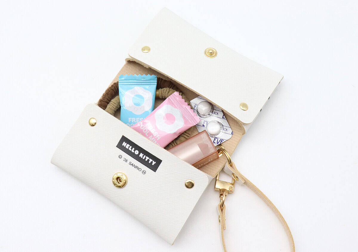 mini5月号付録は争奪戦の予感大！みずいろリボンが可愛い♡ハローキティ高見えマルチケース