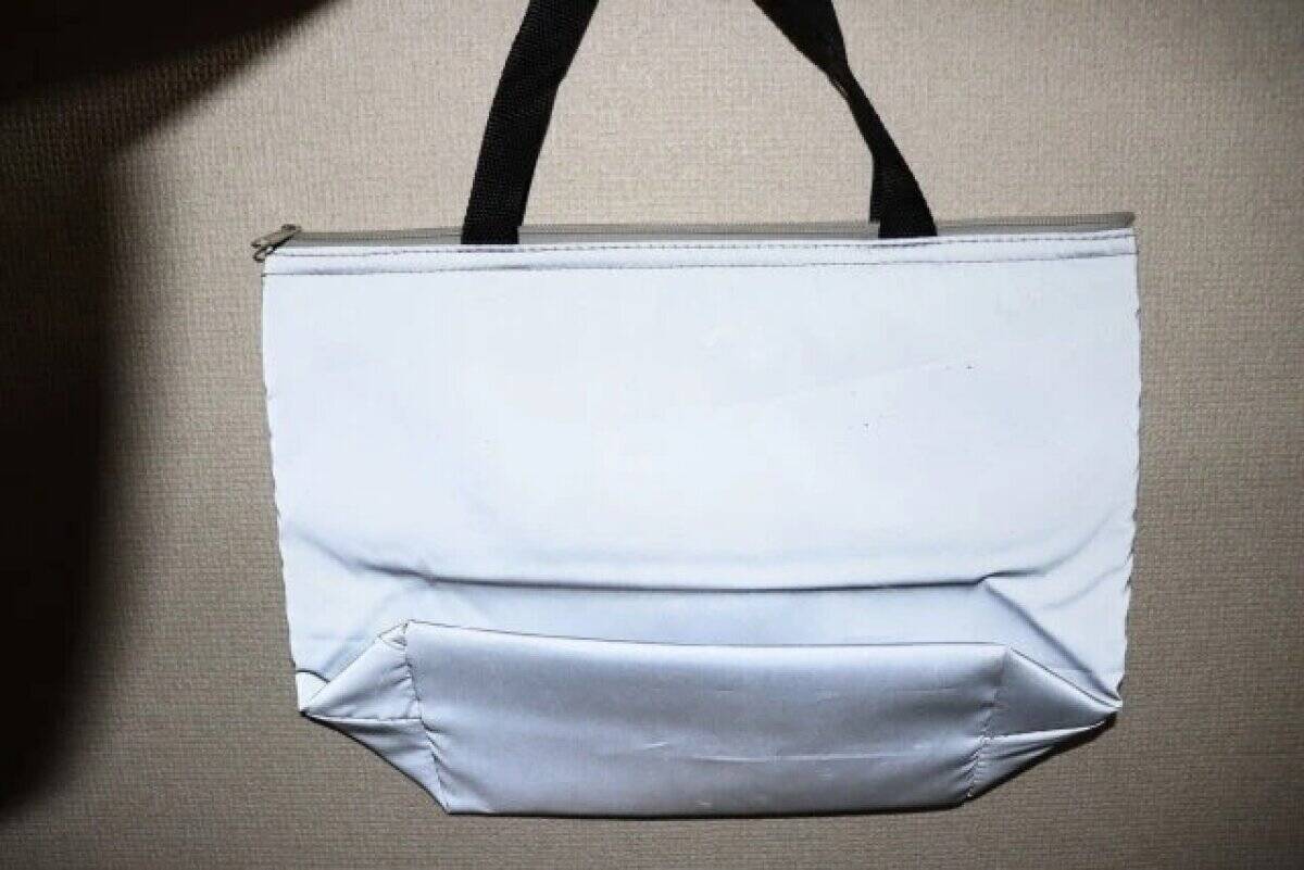 「100均で買った」って言うと驚かれる！普通に見えて機能的！家族分揃えたくなるバッグ