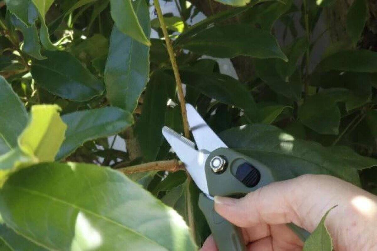 「本当に100均商品なの…？！」質と値段が釣り合ってないよ…！専門店級の園芸グッズ3選