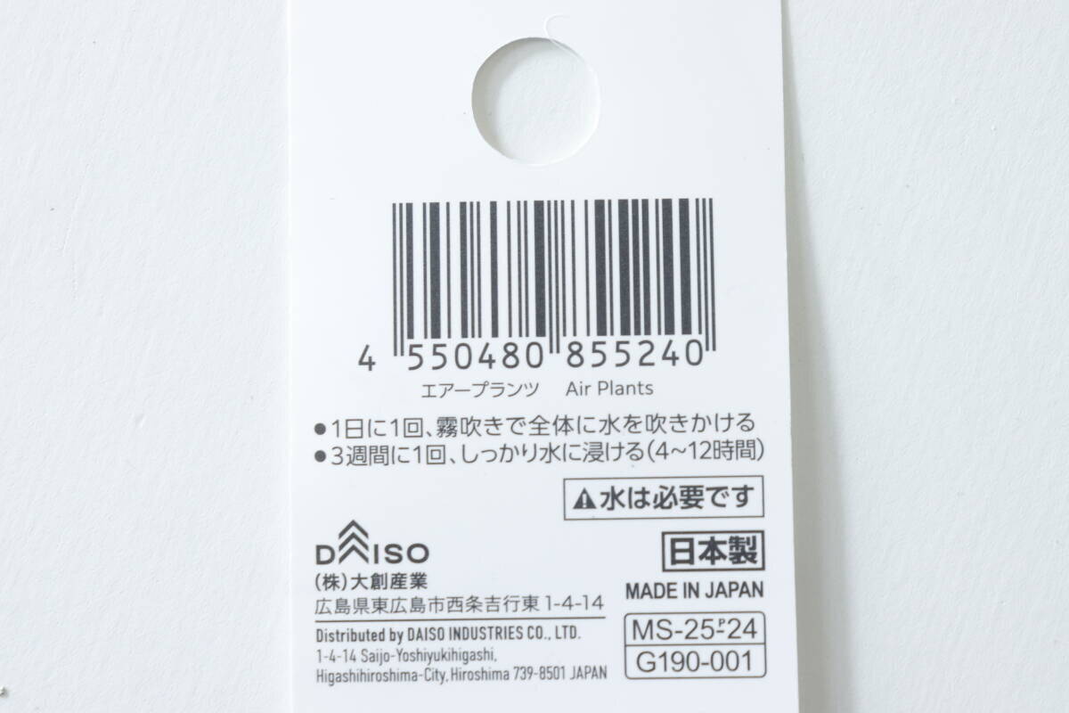 100均でまさかの出会い！「通販だともっと高いのに…」SNSで話題のお宝さがし