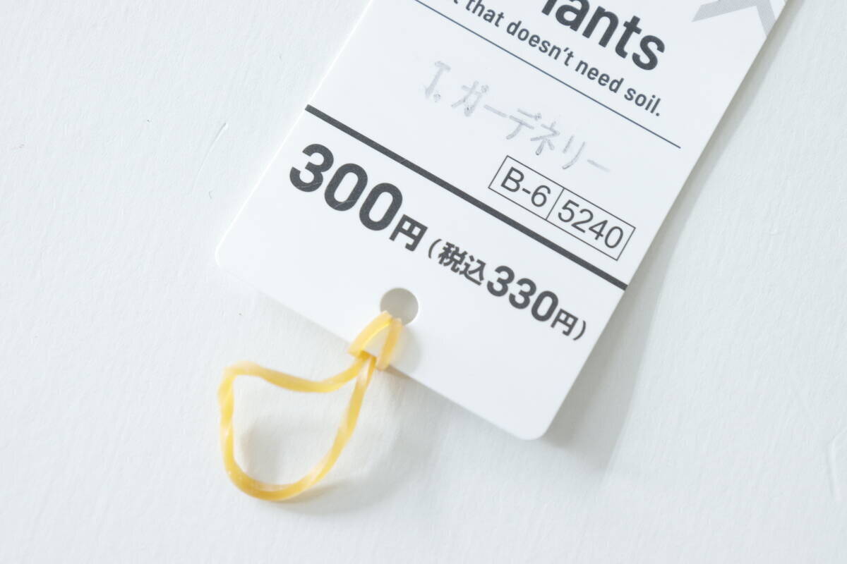 100均でまさかの出会い！「通販だともっと高いのに…」SNSで話題のお宝さがし