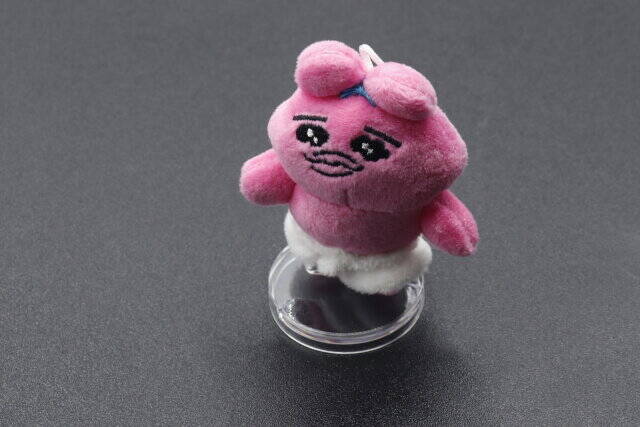 セリアで見つけて感動♡単純だけどよくできてる！持ち運びやすいスタンド
