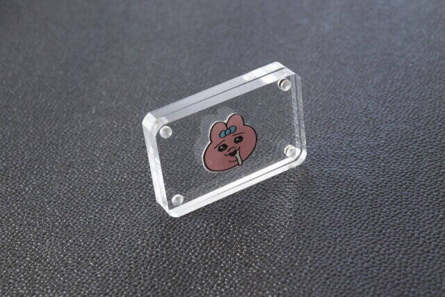 セリアにスゴイ商品出てた！まさか100円で買えると思わなかった…挟むだけで映える透明な板