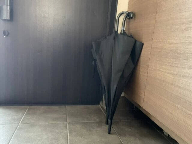 間違いだらけの玄関風水！整理のプロが教える「置くと運気が上がるもの＆運気が下がるもの」