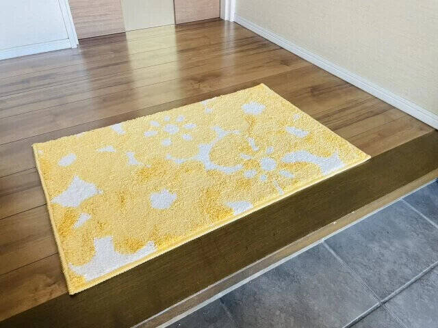 間違いだらけの玄関風水！整理のプロが教える「置くと運気が上がるもの＆運気が下がるもの」