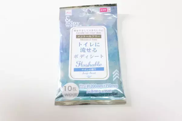 100均のこれポーチに入れとくと便利！今までの弱点を克服！これからの時季の必須アイテム