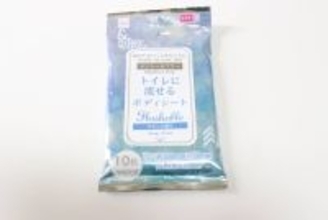 100均のこれポーチに入れとくと便利！今までの弱点を克服！これからの時季の必須アイテム