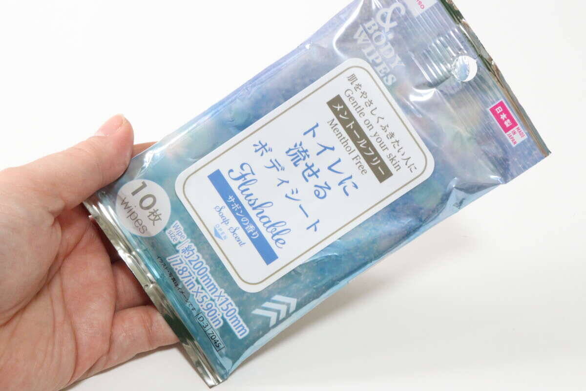 100均のこれポーチに入れとくと便利！今までの弱点を克服！これからの時季の必須アイテム