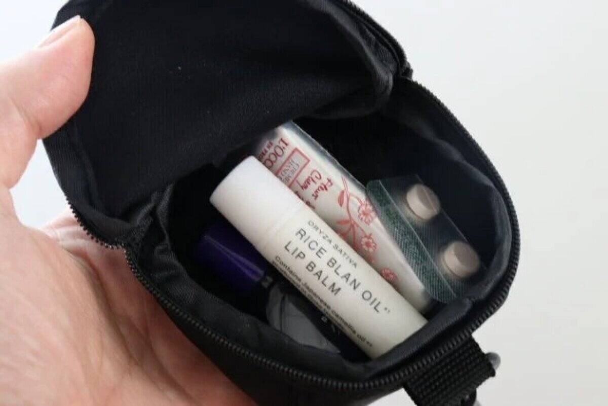 見つけたら即カゴIN推奨！バッグの容量を増やせる！デザインも可愛い100均優秀ポーチ3選