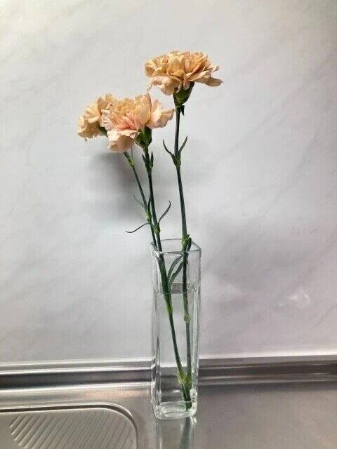 ダイソーの便利グッズ…マジでいい仕事するわ～♡とにかく快適！今すぐ買うべき名商品5連発！