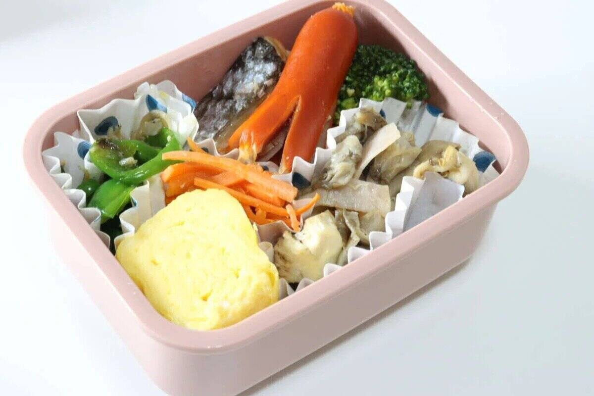 先に100均見といて良かった！「もう高いの買えないよ…！」機能的で高コスパな弁当箱3選